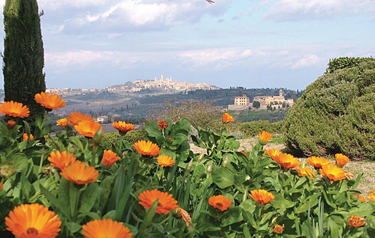 Agriturismo Fattoria Il Piano - Appartamento Antica Cucina - San Gimignano Esterno foto